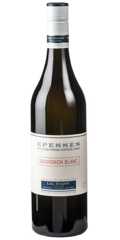Sauvignon Blanc Maison Massy Lavaux AOC - 2023