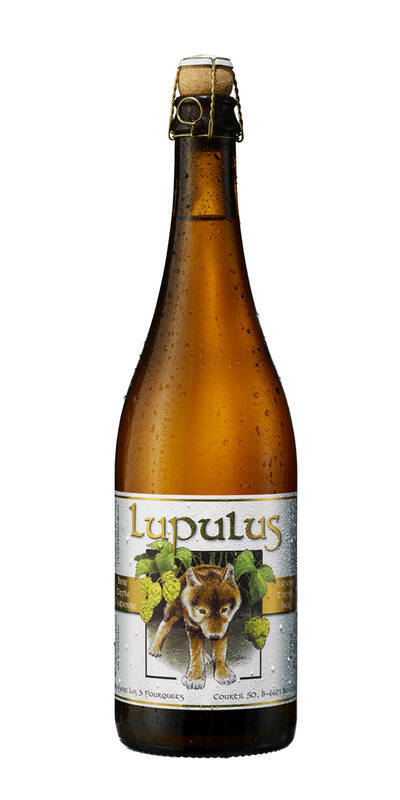 Lupulus Blonde