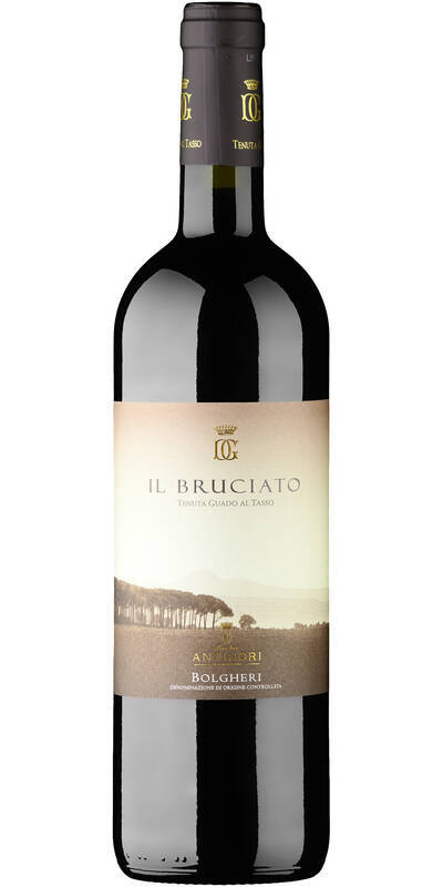 Il Bruciato Bolgheri doc 2024 Tenuta Guado al Tasso