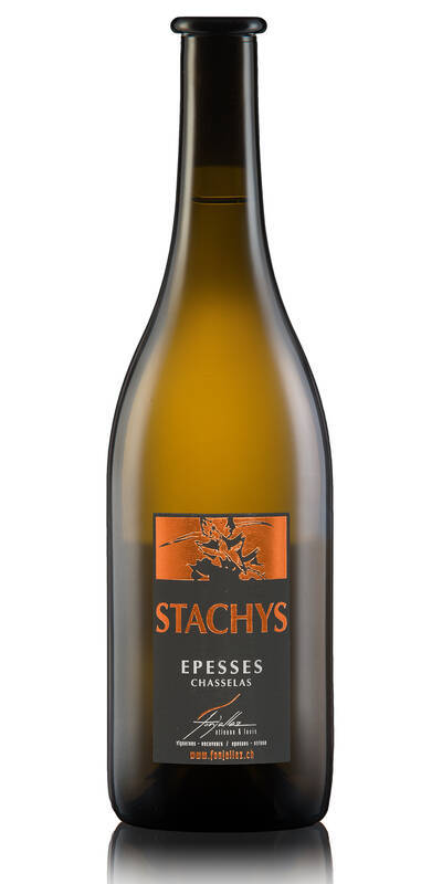 Stachys Epesses Etienne et Louis Fonjallaz Lavaux AOC - 2022